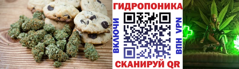 shop состав  Зея  Canna-Cookies конопля  как найти наркотики 