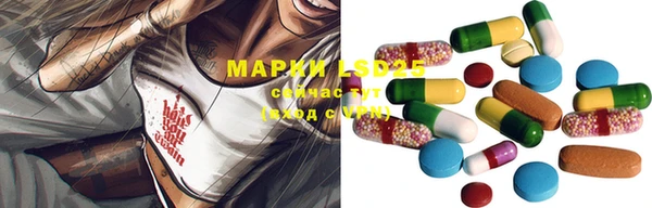 трава Новозыбков