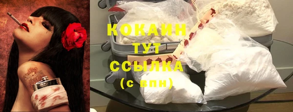 крисы Няндома