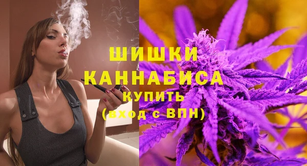 трава Новозыбков