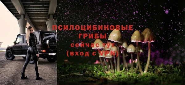 трава Новозыбков