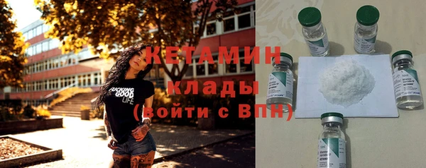 крисы Няндома