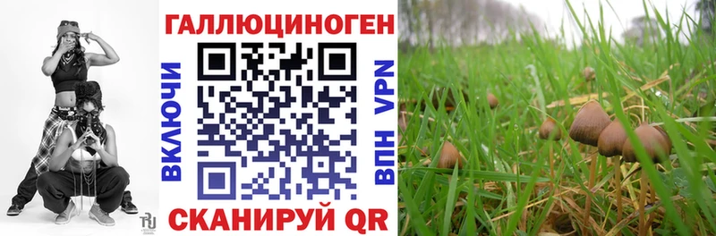 Псилоцибиновые грибы Psilocybine cubensis  shop клад  Зея 